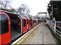 TQ4192 : A Central line train at Roding Valley station by Marathon