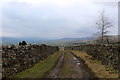 SD9691 : Walled Track above Heugh by Chris Heaton