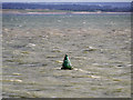 SJ2997 : Starboard Marker Buoy C21 in the Crosby Channel by David Dixon