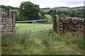 SE0446 : Gateway to field from Hawber Lane north of Drabble House Farm by Roger Templeman