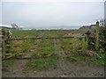 NZ1209 : Public bridleway off Dick Scot Lane by Christine Johnstone