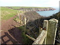 SM8003 : Pembrokeshire Coast Path by PAUL FARMER