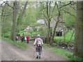 SO7676 : Knowles Mill ahead - Wyre Forest, Worcestershire by Martin Richard Phelan