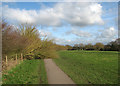 TL4356 : Grantchester Meadows: Doris's handiwork by John Sutton