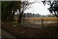 SU4244 : Gate into a field off the Middleway, Middleton by Christopher Hilton