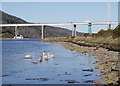 NH6547 : Shoreline of Carnarc Point by Craig Wallace