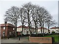 NZ3864 : Trees on Dunlop Crescent by Christine Johnstone