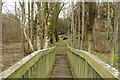 NS2701 : Footbridge near the Old Castle by Billy McCrorie