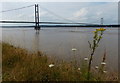 TA0323 : Humber Bridge crossing the River Humber by Mat Fascione