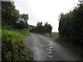 SS6849 : South West Coast Path to Woody Bay - Lynton, North Devon by Martin Richard Phelan