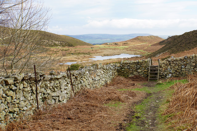 Path approaching Gwern Engen