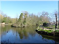 TQ3296 : The New River in Town Park, Enfield by Marathon