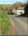 SY4898 : Cottage at Melplash by Derek Harper