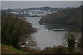 SX1351 : Looking down Pont Pill by Christopher Hilton