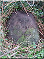 SH4937 : Boundary stone west of Criccieth by Wales Coast Path by John S Turner