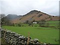 NY2318 : Farmland in Newlands Valley by Christine Johnstone