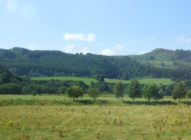 Grazing, Strath Tay