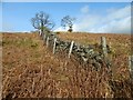 NS4674 : Fence and dry-stone wall by Lairich Rig