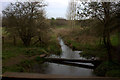 SP5823 : Bure Park nature reserve stream by Robert Eva