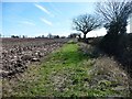 SK2308 : Bridleway heading south to Podmore Cottages by Christine Johnstone