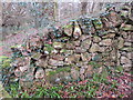 SH3231 : Old stone wall on Mynydd Tir y Cwmwd, and a rivet bench mark by John S Turner