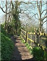 SX1352 : Hall Walk above Bodinnick by Derek Harper