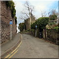 SO6023 : One-way signs, Chase Road, Ross-on-Wye by Jaggery