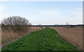 TM4892 : Angles Way along the Waveney, North Cove by Roger Jones