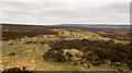 NZ5101 : Moorland alongside Cleveland Way by Trevor Littlewood