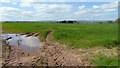 SO4309 : Arable field to the east of Hollybush by Philip Halling