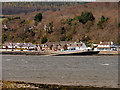 NH6547 : Beauly Firth, Old Ferry Jetty at North Kessock by David Dixon