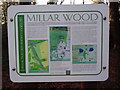 SU9094 : Display Board at Millar Wood near Potter's Cross by David Hillas