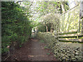 SE1439 : Footpath near from West Lane to Belmont Rise by Stephen Craven