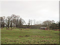 SJ7581 : Barn near Tatton Old Hall by Stephen Craven