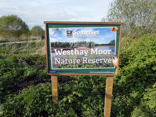 Somerset Wildlife Trust Sign 'Westhay Moor'