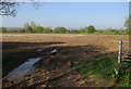 ST4631 : Maize stubble near Lower Hayes Farm by Hugh Venables