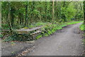 NZ9402 : Remains of platform at former Fyling Hall station by David Martin