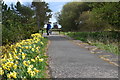 NZ9801 : On the platform of the disused station at Ravenscar by David Martin