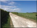 TR3646 : Margaret's Road, St. Margaret's at Cliffe by Chris Whippet