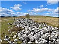 NT8101 : Bellshiel Long Cairn by Andrew Curtis