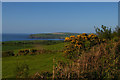 SN0237 : View north-eastwards from Trecadifor towards Newport Bay by Christopher Hilton