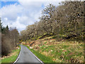 NN1581 : Steep slope with deciduous woodland by Trevor Littlewood