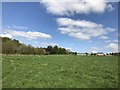 SJ8147 : Field and copse between Silverdale Country Park and High Lane by Jonathan Hutchins