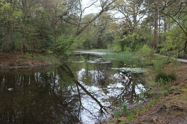 Reflections in lake, Llanerchaeron