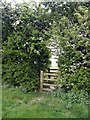 SK3821 : Double stile in a hedge by Graham Hogg