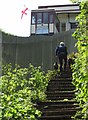 SX9265 : Path by the cliff railway by Derek Harper