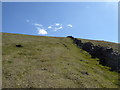 SH5646 : Nearing the summit of Moel Hebog by Jeremy Bolwell