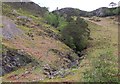 NG9338 : Tree-lined gully, Attadale by Jim Barton