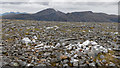 NH3079 : Quartz on the ridge to Am Faochagach by Julian Paren