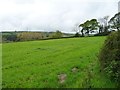  : Farmland east of Sarn Rug by Christine Johnstone